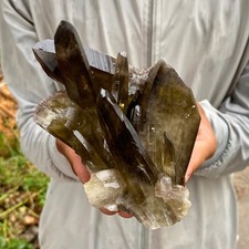 2.15LB Natural Black Smoky Quartz Crystal Cluster Raw Mineral Specimen picture