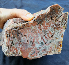 4.9 lbs (2.25 kg) Lapidary Materials, Agate Display, Agate Art, Agate Specimen picture