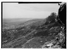 Photo:Haifa Mt Carmel Panorama 1900s Palestinian Hills View picture