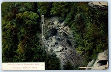 1910 Catskill Mountains New York Vintage Postcard Looking Down Kaaterskill Falls picture