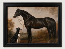 Vintage Style Black Horse & Dog Framed Equestrian Art Print Country Decor picture