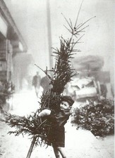 Vintage Christmas/Early 1900's/BOY DRAGGING HOME CHRISTMAS TREE/4X6 B&W Photo Rp picture