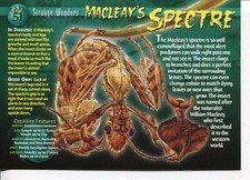 Weird N’ Wild Creatures Strange Wonders Card 51 # Macleay's Spectre # LC6 picture