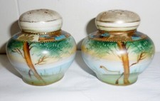 ART NOUVEAU PORCELAIN SALT AND PEPPER SHAKERS HANDPAINTED DESIGN 1800'S ? picture
