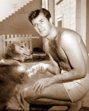 Hugh O'Brian Men and Their Dogs.JPG 4x6 Picture Celebrity Print picture