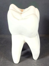 Vintage Porcelain Dental Tooth Display Model ~ 6