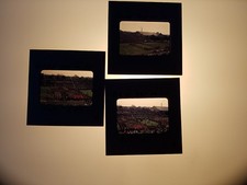 Vintage IU Indiana University Band Day 1953 35mm Film Slides Lot 3 picture