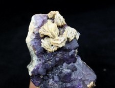 335g 139mm Nice display Barite (Baryte) on Frosty Purple Fluorite CMM633884 picture