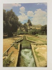 Elisha Spring Jericho Palestine Postcard Ein es-Sultan Phrophets Fountain Unp picture