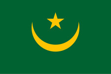 Dettra Annin Flag of Mauritania 3' x 5' Dura Lite Nylon Flag 1959–2017 picture
