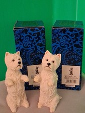 WESTIE WHITE TERRIER PUPPIES - 4.25
