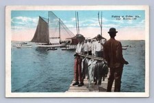 Fishing Catch on Boat Docks CODEN Alabama Antique Mobile Postcard ~1920s picture