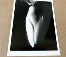 Magnolia Bud 1920 Photograph by Imogen Cunningham POSTCARD IC-1 Floral design picture