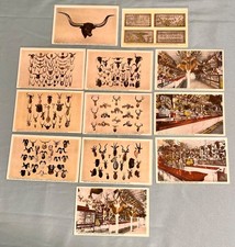 Albert's Buckhorn Saloon San Antonio Texas Vintage Postcards Full set of 12 1915 picture