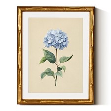 InSimSea Gold Bamboo Framed Canvas, Vintage Hydrangea Flower Prints, 11x14 inch picture
