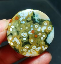Rare 16G Natural Polished Orbicular Ocean Jasper Reiki Healing WYY2602 picture