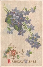 Lovely Violets on 1910 Birthday Postcard picture