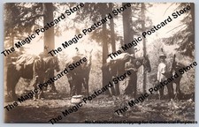 Wilderness Pack Train & Mules WOODBURN Oregon RPPC Dan Cowles Photo ~1910s picture