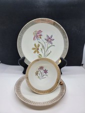 Vintage Winterling Marktleuthen Tea Cup, Saucer Dessert Plate Bavaria Germany picture