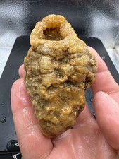Fossilized Indiana Geode Quartz Agate Hoosier Oddity 820 Carats picture