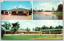 Blake's Motel Restaurant Candor NC Vintage Postcard Dexter Press AA877 picture