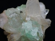 Fluorapophyllite (K) Mint Green Xls. - highly collectable - Maharashtra India picture
