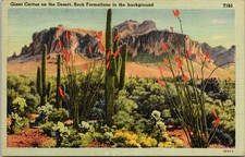 Giant Saguaro Cactus Desert Landscape Rock Formations Linen Postcard T165 picture