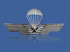 ITALIAN MILITARY JUMP WINGS BADGE PARATROOPER DOUBLE POST METAL PIN picture