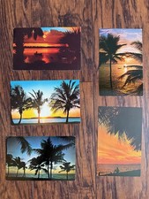 Florida Sunset Sunrise Lot of 5 Vintage Postcards picture