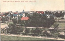 Lithograph Wadena MN Birdseye Town View 1908 picture