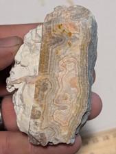 Large Top Quality Crazy Lace Agate Chert Druzy Stone Summerville GA Georgia picture