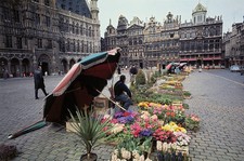 Brussels Belgium Flower sellers with their traditional red green u- Old Photo picture