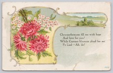 Vintage Chrysanthemum Currant Blossom Valentine Greetings Postcard Embossed picture