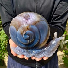 2.09LB Natural agate geode quartz crystal engrave snail skull healing gift decor picture
