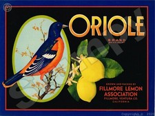 Oriole brand Lemon label Metal Sign 9