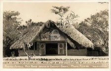 1930s Parrot Jungle Roadside Attraction Miami Florida RPPC Photo Postcard COPY picture