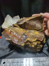 Biggs Jasper Specimen w/ Dendric Natural Form (7lbs 12oz) picture