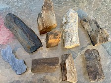 SUPERB* 9 Pc~6.8 Lb Lot of Petrified Fossil Wood~W/perfect Replicated Detail picture