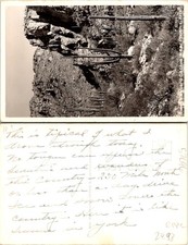 Phoenix AZ. Giant Saguaro Cactus RPPC Black And White Postcard 57096 picture
