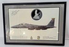 Squadron Signed Print 336 F15E Strike Eagle Seymour-Johnson Aviation Art Crisco picture