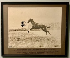 Antique C.C. Cook Signed 11x14 Photo Collection 6 Horse Racing Accidents RARE picture
