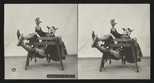 Photo:The king's fool picture