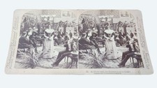 Antique 1901 Underwood Stereoview At Others-Well The Mistletoe Is Not To Blame picture