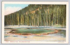 Emerald Pool Yellowstone Park Postcard J. E. Haynes Photo White Border 1915-1930 picture