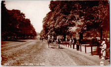 UK England London Hyde Park Rotten Row Horse Riders Avenue Trees 1920 RPPC picture