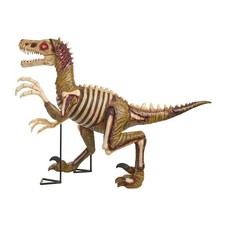 Zombie Velociraptor 8 FT Long Grave and Bones Giant Sized Animated LED Halloween picture