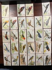 Useful Birds of America 3rd Series (28 cards missing 2 & 5) Church & Dwight 1922 picture