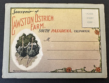 Cawston Ostrich Farm Pasadena CA souvenir photo booklet VTG feathers 1920s PC picture