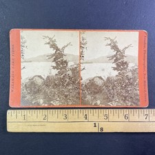 Lake Waramaug Stereoview Landon Photographer New Milford CT Late 1800s picture