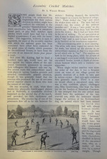 1903 Strange Cricket Matches illustrated picture